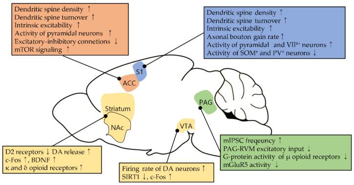 https://cdn.ncbi.nlm.nih.gov/pmc/blobs/84d9/8228570/771ee2456372/biomedicines-09-00624-g001.jpg