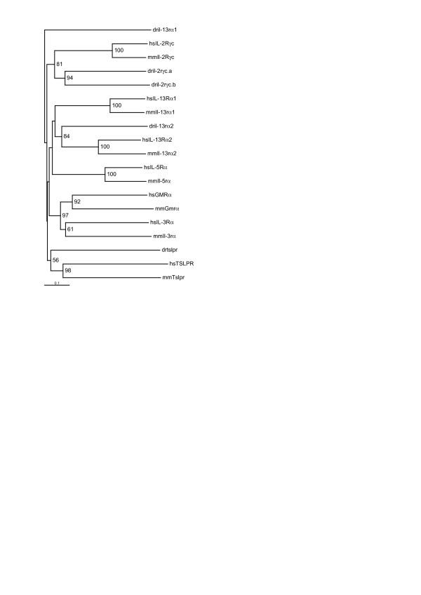 https://cdn.ncbi.nlm.nih.gov/pmc/blobs/84da/1963337/ae4466b5ba01/1471-2148-7-120-4.jpg