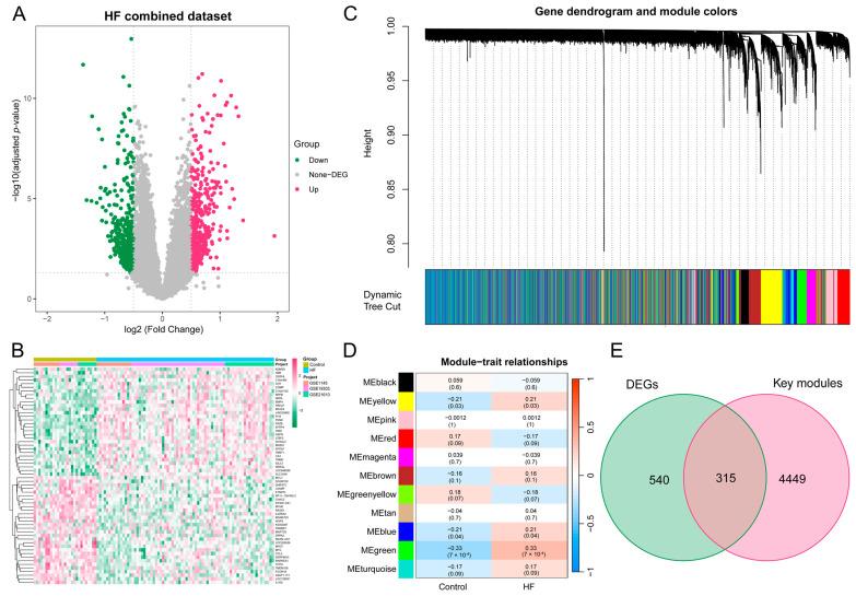 https://cdn.ncbi.nlm.nih.gov/pmc/blobs/84db/11275063/cd61082469a9/biomolecules-14-00793-g003.jpg