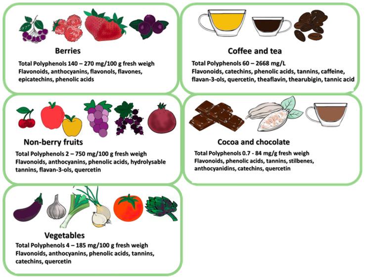 https://cdn.ncbi.nlm.nih.gov/pmc/blobs/84dc/10933800/df8ba2b9b579/nutrients-16-00681-g002.jpg