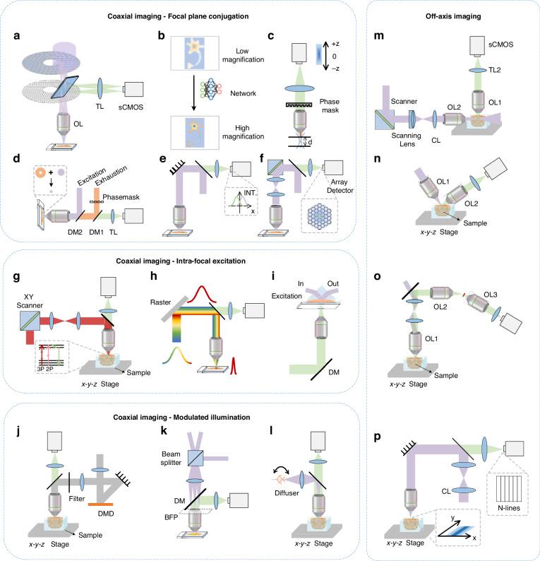https://cdn.ncbi.nlm.nih.gov/pmc/blobs/84dc/11688461/0d9c995f4f89/41377_2024_1677_Fig6_HTML.jpg