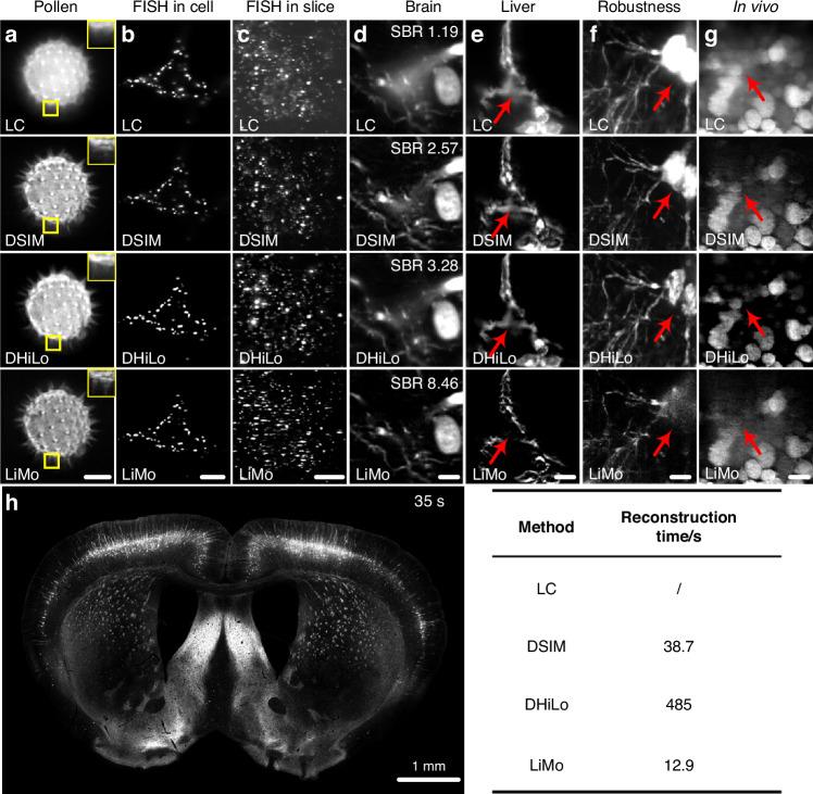 https://cdn.ncbi.nlm.nih.gov/pmc/blobs/84dc/11688461/57f750349849/41377_2024_1677_Fig11_HTML.jpg