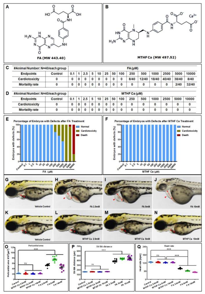 https://cdn.ncbi.nlm.nih.gov/pmc/blobs/84dc/9777352/61f817724c2e/cells-11-03946-g001.jpg
