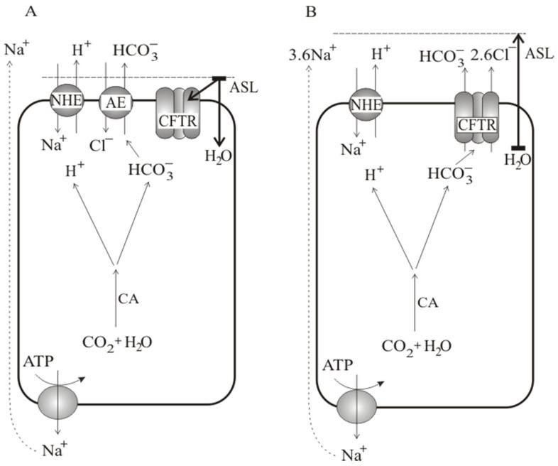 https://cdn.ncbi.nlm.nih.gov/pmc/blobs/84df/7142439/919b56748142/membranes-10-00043-g009.jpg