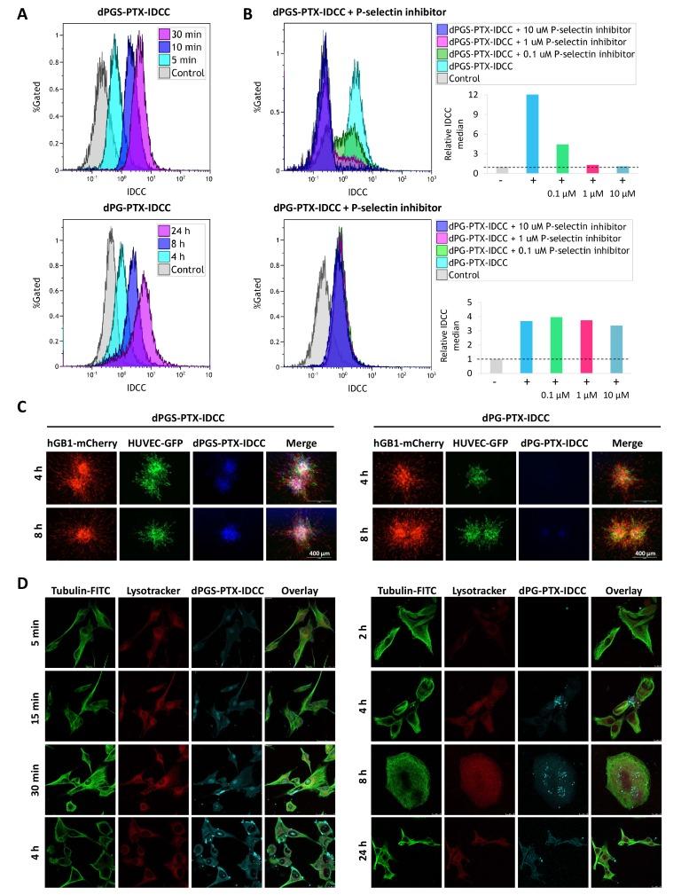 https://cdn.ncbi.nlm.nih.gov/pmc/blobs/84e1/5644959/4cf51fa41d53/elife-25281-fig2.jpg