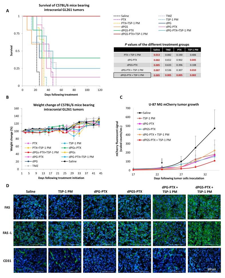 https://cdn.ncbi.nlm.nih.gov/pmc/blobs/84e1/5644959/6382f7b836ec/elife-25281-fig8.jpg