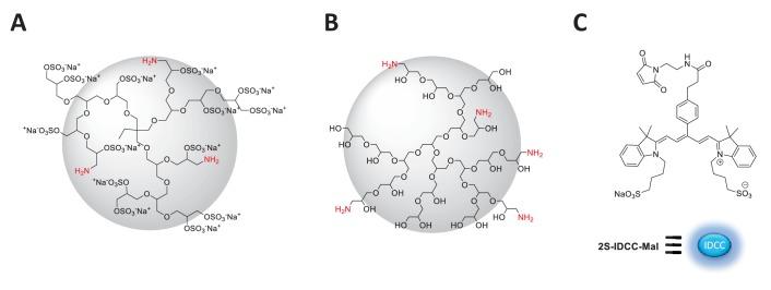 https://cdn.ncbi.nlm.nih.gov/pmc/blobs/84e1/5644959/be2e4e7d0a8a/elife-25281-fig1-figsupp1.jpg