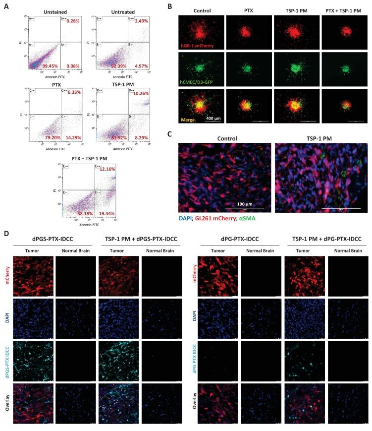 https://cdn.ncbi.nlm.nih.gov/pmc/blobs/84e1/5644959/c398ad7ea7ed/elife-25281-fig7.jpg
