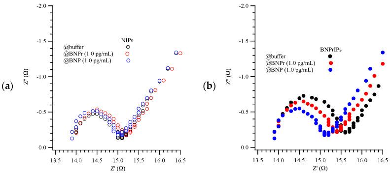 https://cdn.ncbi.nlm.nih.gov/pmc/blobs/84e3/11591701/83a1ef4a8ba1/biosensors-14-00533-g005a.jpg