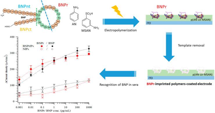 https://cdn.ncbi.nlm.nih.gov/pmc/blobs/84e3/11591701/b36b462ad701/biosensors-14-00533-sch001.jpg
