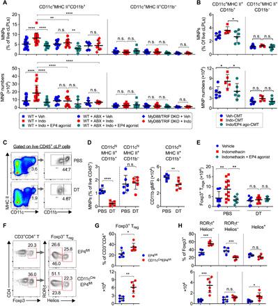 https://cdn.ncbi.nlm.nih.gov/pmc/blobs/84e3/7880593/0540974460c2/abd7954-F6.jpg