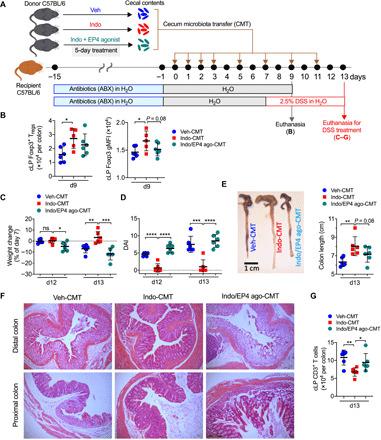 https://cdn.ncbi.nlm.nih.gov/pmc/blobs/84e3/7880593/7875a217e6eb/abd7954-F5.jpg