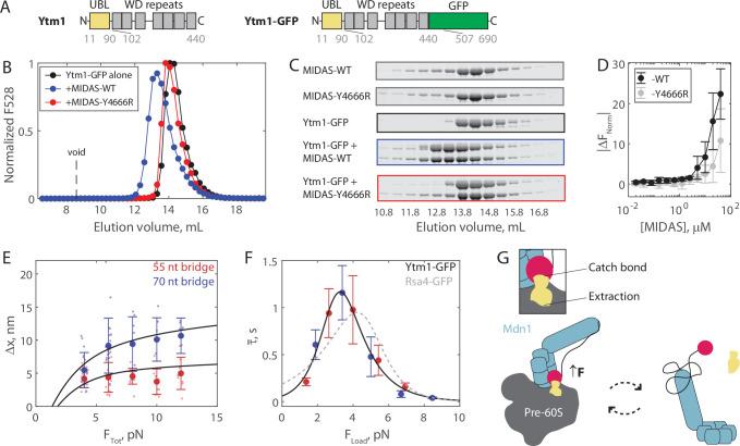 https://cdn.ncbi.nlm.nih.gov/pmc/blobs/84e4/8837202/5277539a4de3/elife-73534-fig4.jpg