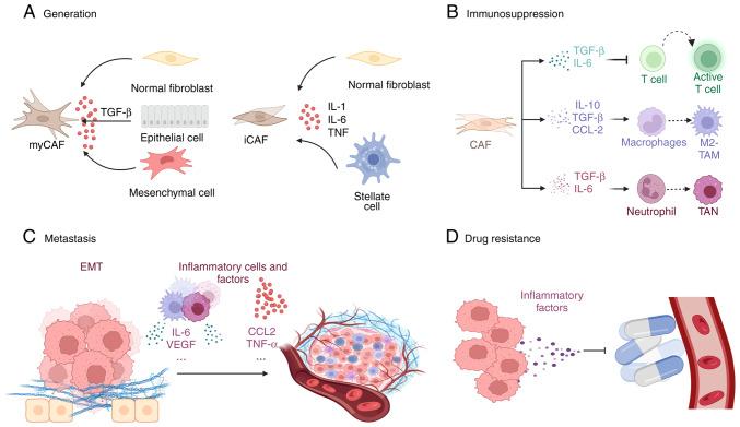 https://cdn.ncbi.nlm.nih.gov/pmc/blobs/84e5/12183503/0f8c642e8fe7/or-54-02-08926-g01.jpg