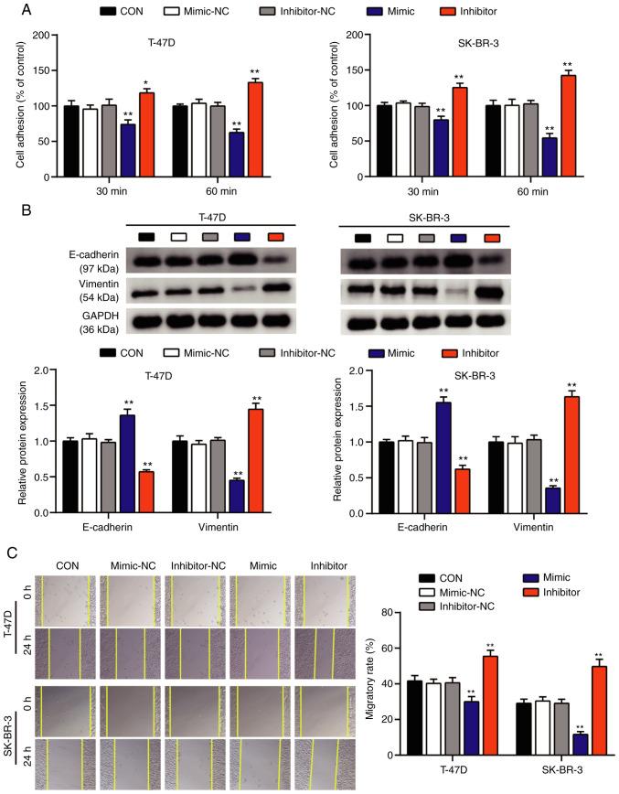 https://cdn.ncbi.nlm.nih.gov/pmc/blobs/84e5/8299007/d87b62fd9269/ol-22-03-12921-g02.jpg