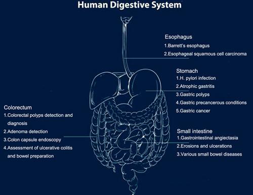 https://cdn.ncbi.nlm.nih.gov/pmc/blobs/84e6/8132898/767b79144a04/sle-31-254-g002.jpg