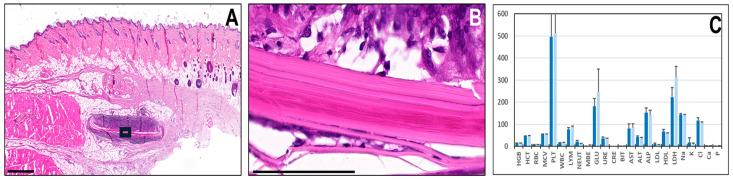 https://cdn.ncbi.nlm.nih.gov/pmc/blobs/84e7/11677964/8283d8aa681e/marinedrugs-22-00535-g002.jpg