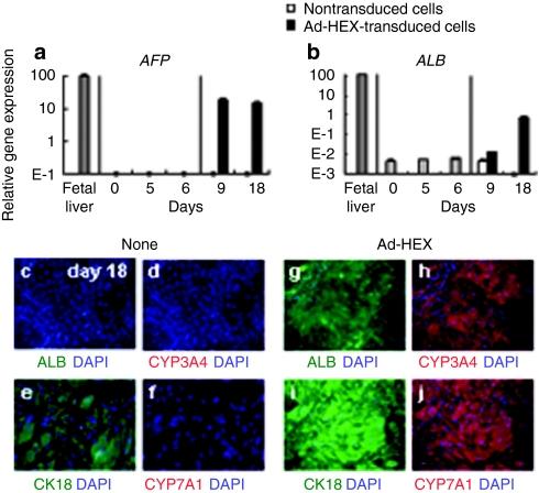 https://cdn.ncbi.nlm.nih.gov/pmc/blobs/84ea/3034848/6a2852ea9200/mt2010241f5.jpg