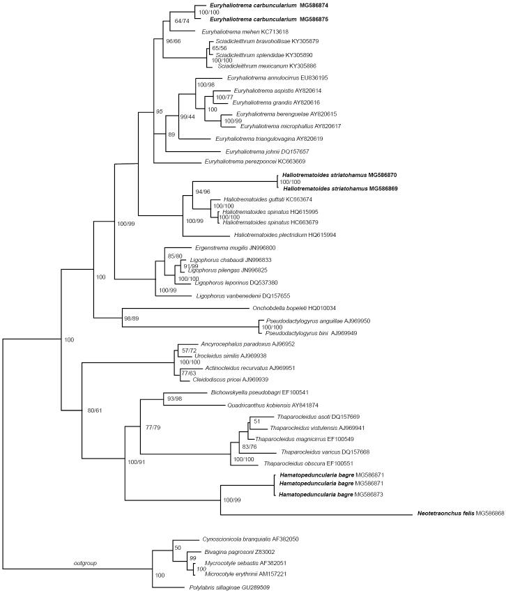 https://cdn.ncbi.nlm.nih.gov/pmc/blobs/84eb/6160863/3eb5ba1d4afc/zookeys-783-125-g001.jpg