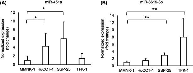 https://cdn.ncbi.nlm.nih.gov/pmc/blobs/84ec/9807502/0f894be95e7a/CAS-114-295-g006.jpg