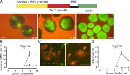 https://cdn.ncbi.nlm.nih.gov/pmc/blobs/84ed/2118112/7b3eac423892/jem2032315f03.jpg