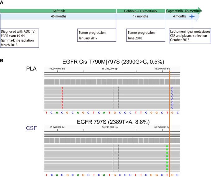 https://cdn.ncbi.nlm.nih.gov/pmc/blobs/84ed/9097599/11dd17483084/fonc-12-664420-g004.jpg