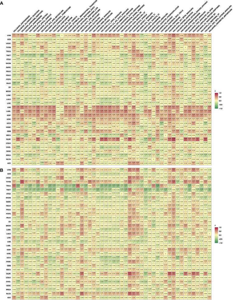 https://cdn.ncbi.nlm.nih.gov/pmc/blobs/84ed/9990624/611fbb3d47f5/fendo-14-1119534-g009.jpg