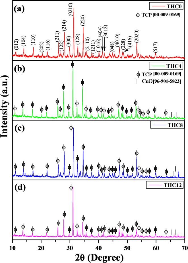 https://cdn.ncbi.nlm.nih.gov/pmc/blobs/84ef/11763077/08e444d72dc2/41598_2025_87988_Fig1_HTML.jpg
