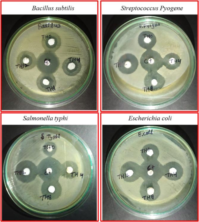 https://cdn.ncbi.nlm.nih.gov/pmc/blobs/84ef/11763077/327567adf188/41598_2025_87988_Fig11_HTML.jpg