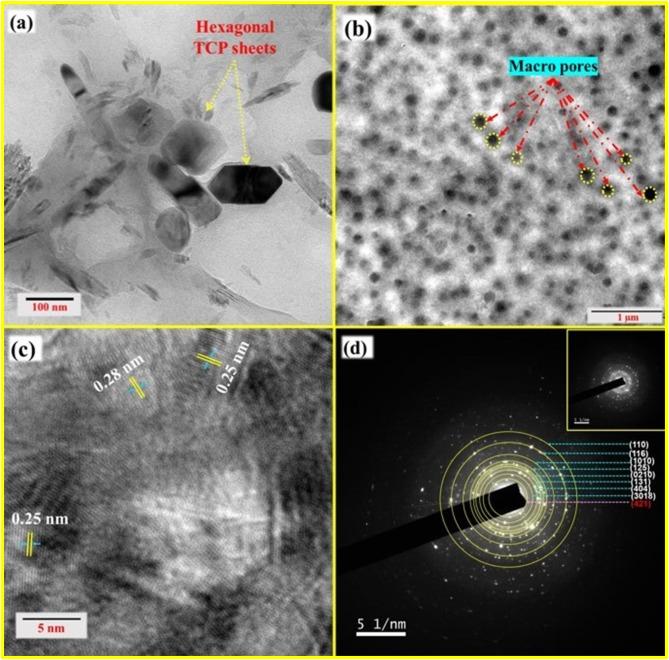 https://cdn.ncbi.nlm.nih.gov/pmc/blobs/84ef/11763077/ef290abb7d98/41598_2025_87988_Fig6_HTML.jpg