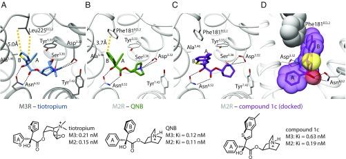 https://cdn.ncbi.nlm.nih.gov/pmc/blobs/84ef/6255194/1a5bd68bfe4f/pnas.1813988115fig01.jpg