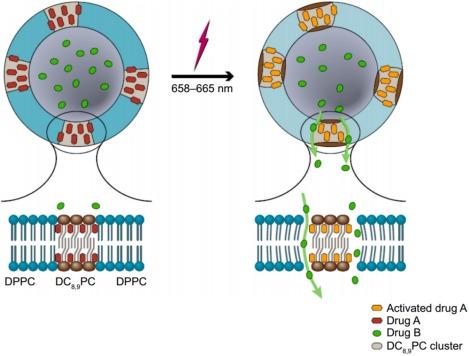 https://cdn.ncbi.nlm.nih.gov/pmc/blobs/84f3/5689540/3f4211675528/BTM2-1-267-g002.jpg