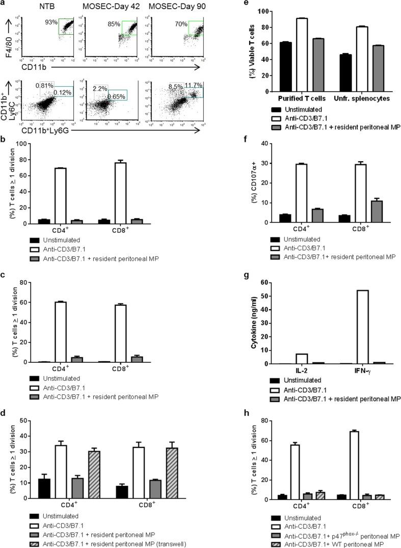 https://cdn.ncbi.nlm.nih.gov/pmc/blobs/84f6/4484458/4c312cfdae30/oncotarget-06-11310-g001.jpg