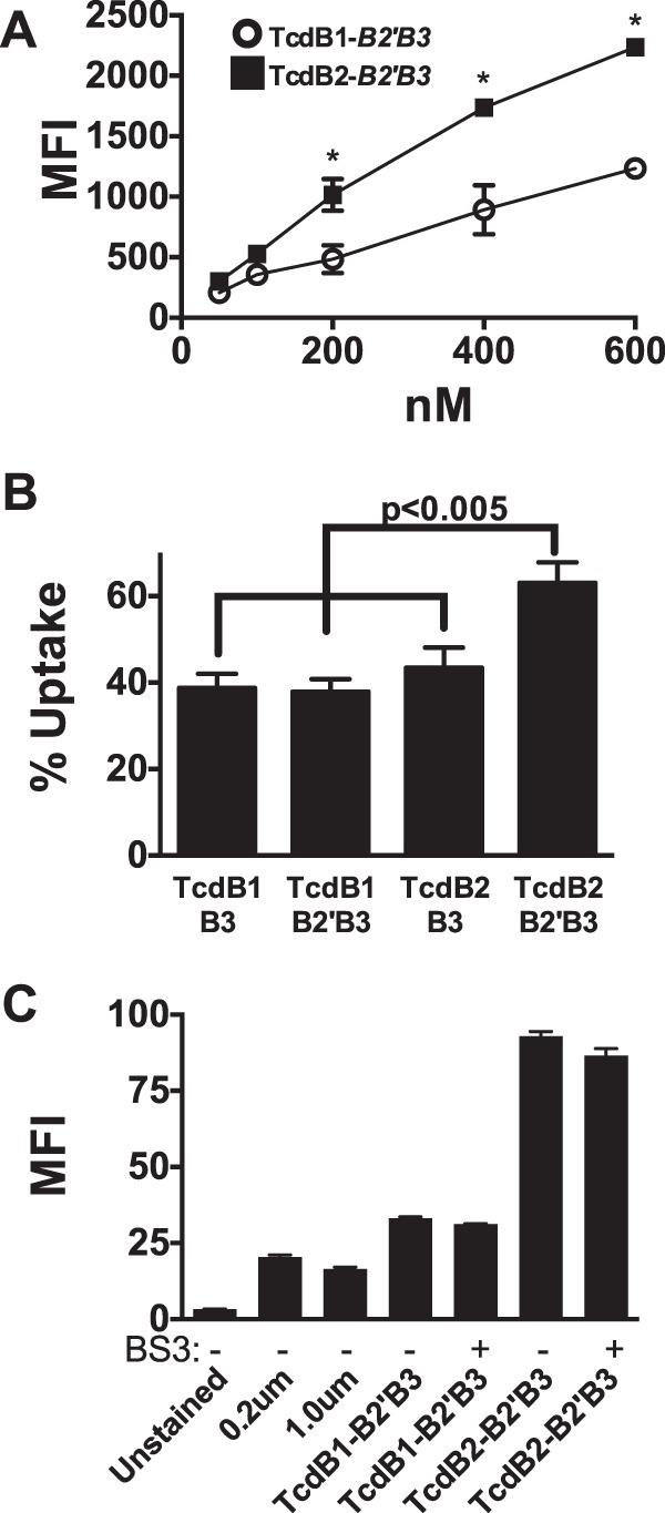 https://cdn.ncbi.nlm.nih.gov/pmc/blobs/84f6/5541160/457f70959d9f/sph0041723320002.jpg
