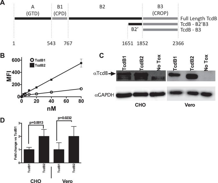 https://cdn.ncbi.nlm.nih.gov/pmc/blobs/84f6/5541160/e47b1a63c7c2/sph0041723320001.jpg