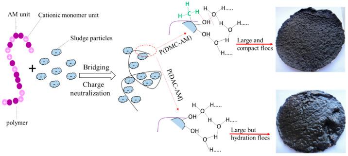 https://cdn.ncbi.nlm.nih.gov/pmc/blobs/84f9/8879950/64bf5ee3c071/molecules-27-01267-g008.jpg