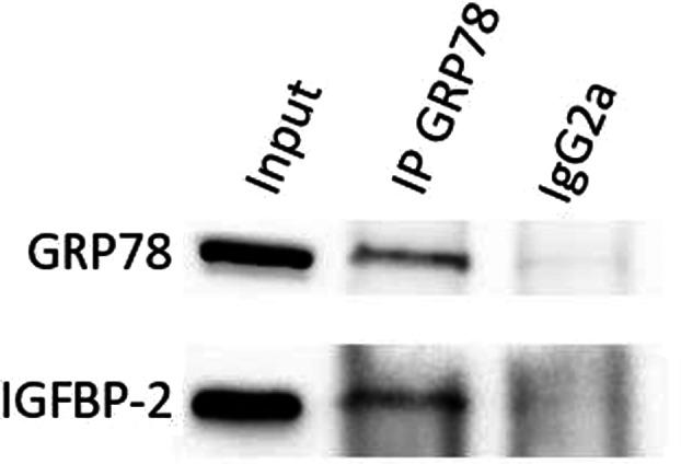 https://cdn.ncbi.nlm.nih.gov/pmc/blobs/84fc/10358216/803f805de2b2/CAM4-12-14426-g002.jpg