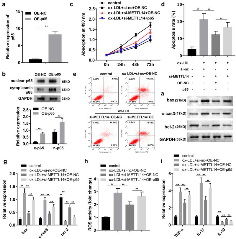https://cdn.ncbi.nlm.nih.gov/pmc/blobs/84fd/9275857/6246cb143f96/KBIE_A_2031409_F0004_OC.jpg