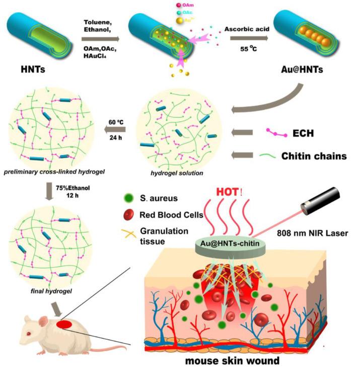 https://cdn.ncbi.nlm.nih.gov/pmc/blobs/84fd/9774400/117e14213507/antibiotics-11-01761-g008.jpg