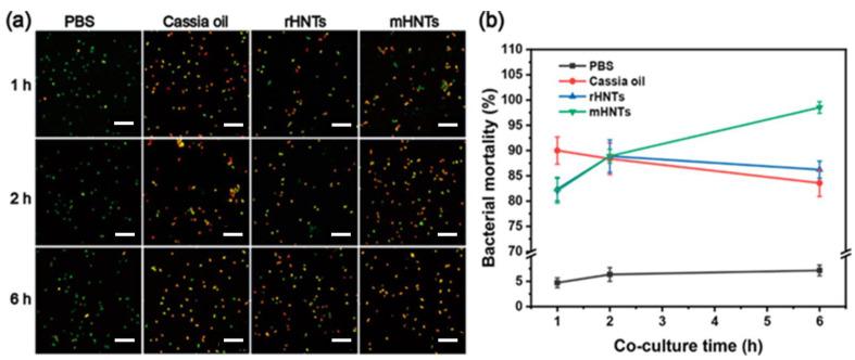 https://cdn.ncbi.nlm.nih.gov/pmc/blobs/84fd/9774400/5119da1e7962/antibiotics-11-01761-g011.jpg