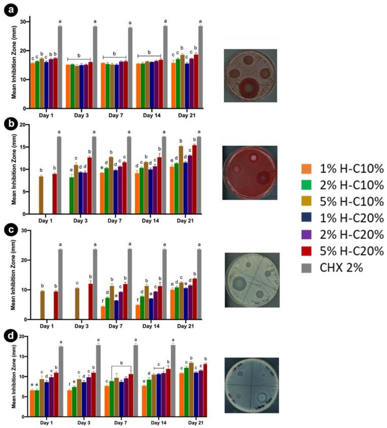 https://cdn.ncbi.nlm.nih.gov/pmc/blobs/84fd/9774400/978ce634ae83/antibiotics-11-01761-g007.jpg