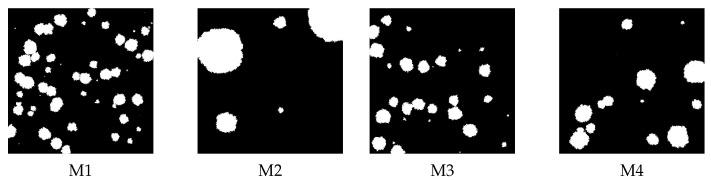 https://cdn.ncbi.nlm.nih.gov/pmc/blobs/84ff/9416707/1933031f0c97/membranes-12-00788-g004.jpg