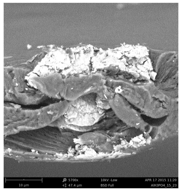https://cdn.ncbi.nlm.nih.gov/pmc/blobs/84ff/9416707/d19cc360db08/membranes-12-00788-g001.jpg