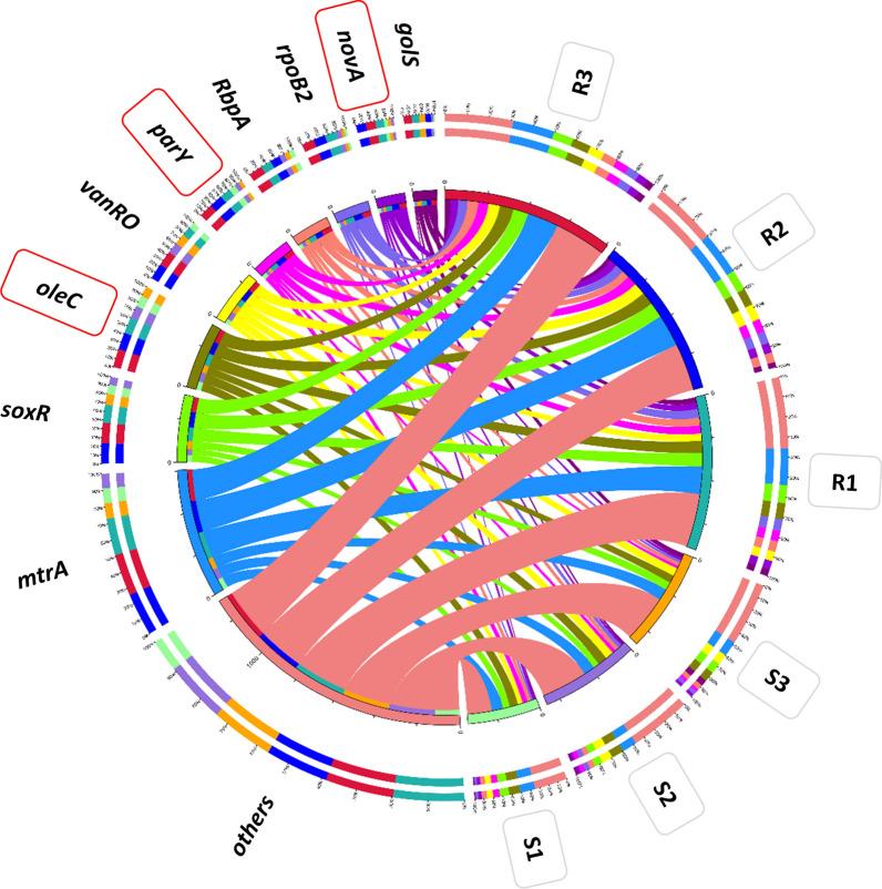 https://cdn.ncbi.nlm.nih.gov/pmc/blobs/8500/10469157/f5f39df44786/13568_2023_1597_Fig7_HTML.jpg