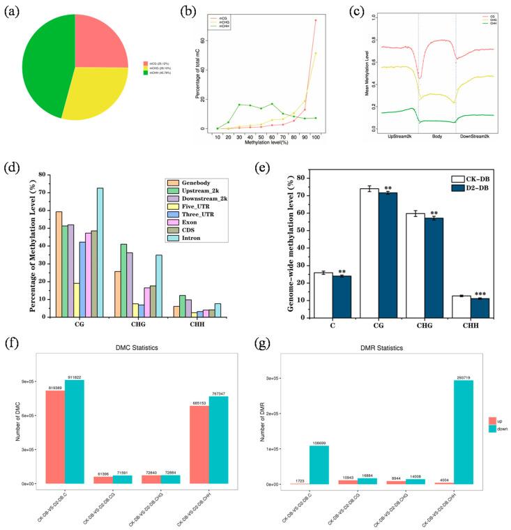 https://cdn.ncbi.nlm.nih.gov/pmc/blobs/8500/11507442/6305fa64ce77/genes-15-01286-g004.jpg