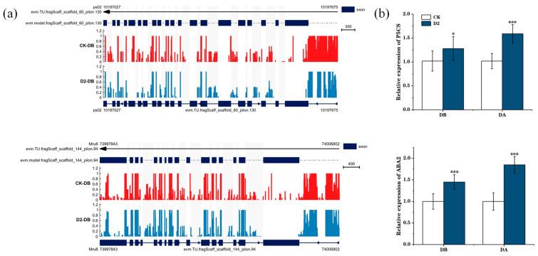 https://cdn.ncbi.nlm.nih.gov/pmc/blobs/8500/11507442/678b7a489a30/genes-15-01286-g007.jpg