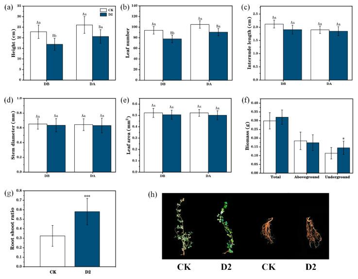 https://cdn.ncbi.nlm.nih.gov/pmc/blobs/8500/11507442/9ea7cdc5204c/genes-15-01286-g002.jpg