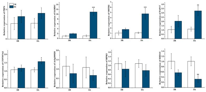 https://cdn.ncbi.nlm.nih.gov/pmc/blobs/8500/11507442/b49bbf7fab01/genes-15-01286-g008.jpg
