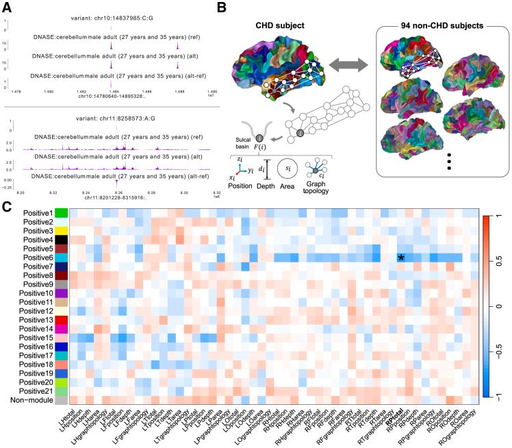https://cdn.ncbi.nlm.nih.gov/pmc/blobs/8501/11772982/0681c3525468/gr2.jpg