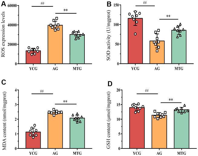 https://cdn.ncbi.nlm.nih.gov/pmc/blobs/8502/8954973/4b9de368d23a/aging-14-203949-g003.jpg